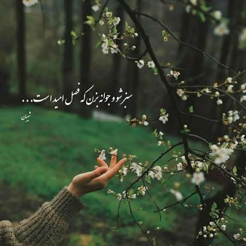 بیا بیا دلم برات تنگه