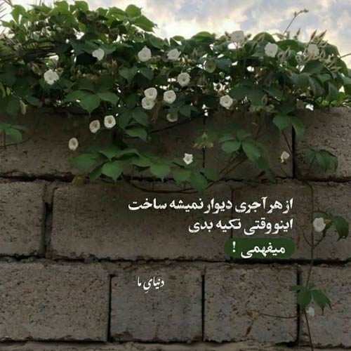میبرمت یه جا نشه هیچ وقت پیدات سلامتی چشمات چهل بار