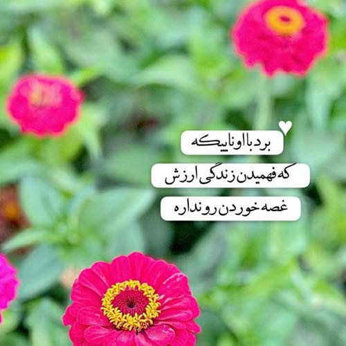 اگر از خانه ویرانه عشقت نگذشتم