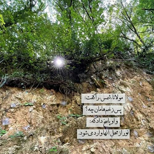 همسفر خوبی نبودی علیزاده