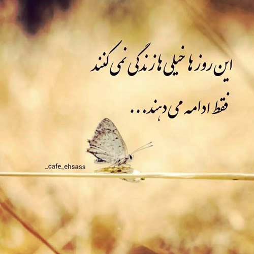 اهنگ مثل برد بود باختن قلبم به تو خلوت ریمیکس