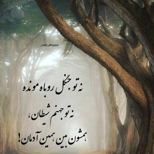 آهنگ آهای سیاه زنگی در فیلم هندی