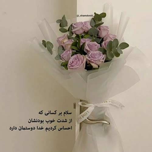رضا میران جان من
