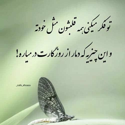 رضا میران عزیزم عه نازارم