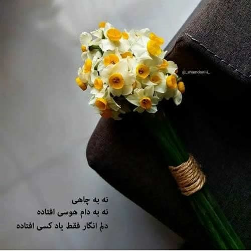 پوریا منصوری دست بند طلایی