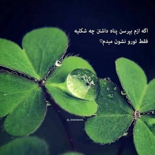 پوریا منصوری سکینه