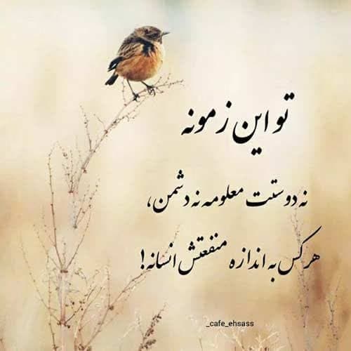 سپهر خلسه حس معمولی