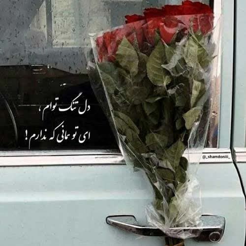 نیما گلنژاد ته جای خالی
