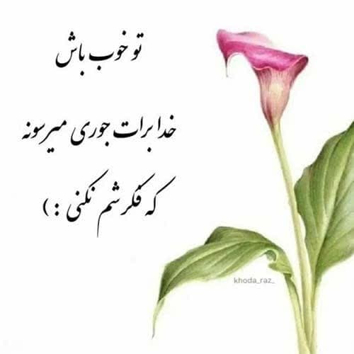 فرشاد آزادی خیالت تخت