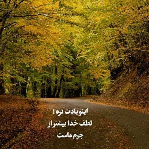 ارزمون شکارچیان های برو های نشو