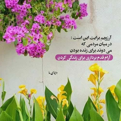 علی حمیدی غروب جمعه