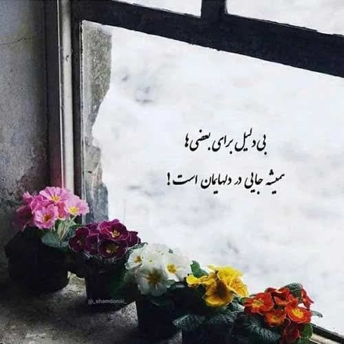 علی حمیدی مسلمون