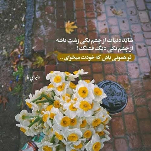 علی حمیدی وارش