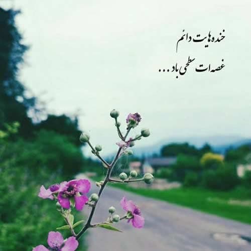 امیر خلوت خواستگاری