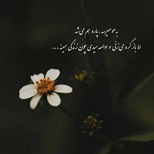 حسین آرامیده دیاری