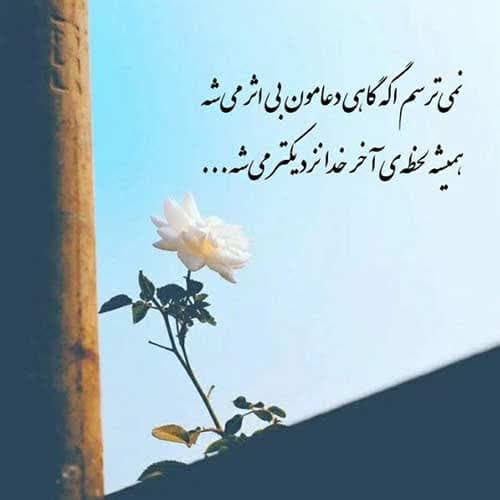 حسین آرامیده مادر آسمانی
