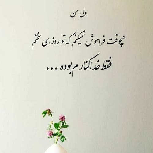عبدالرضا حصاری گلم را میبرن