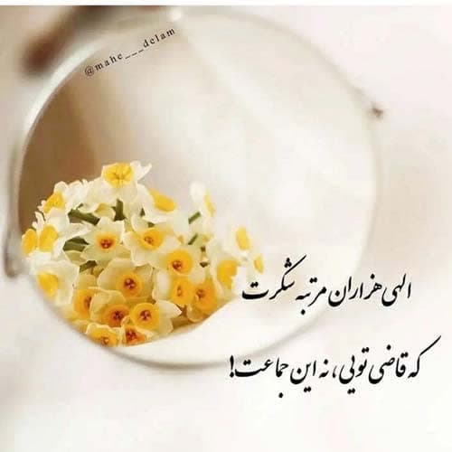 عبدالرضا حصاری گرجی