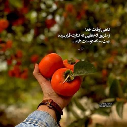 شهریار پیروزفر دلتنگی