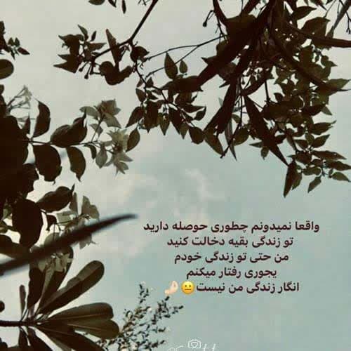 شهریار پیروزفر جهانِ گذران
