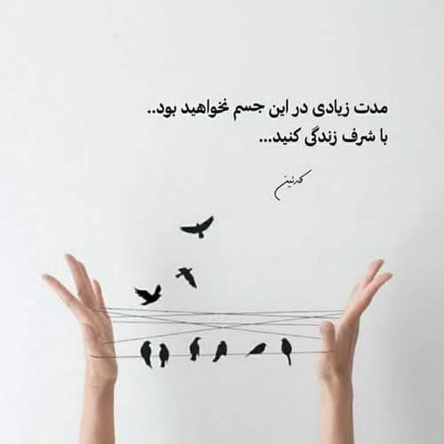 سیتا قاسمی هی دم مه بدمتو