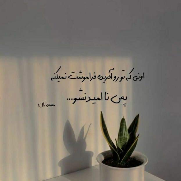 آهنگ هم قصه و هم غصه و هم راز منی تو / اصلی MP3