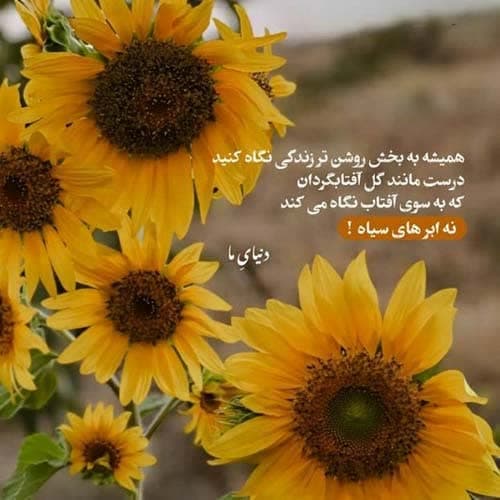 رضا جنتی کچکا خالی مِه