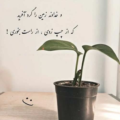 ابوالفضل اسماعیلنژاد همسنگر