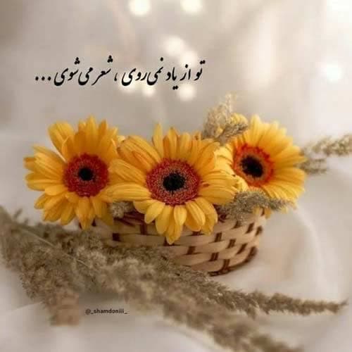 ابوالفضل اسماعیل نژاد دریای رنگ