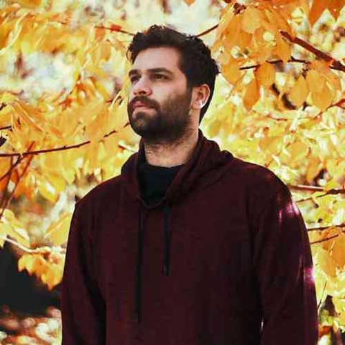 آهنگ های دایان