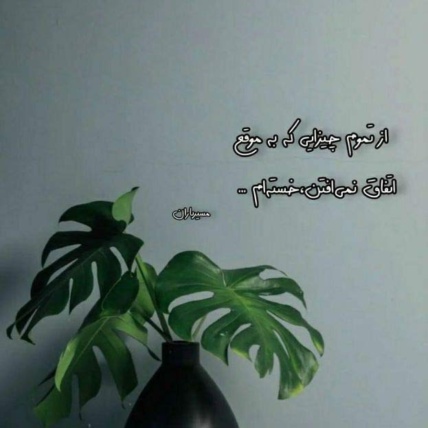 آهنگ مو مشکی فراری خوشکل لب اناری بیا یبارم شده میثم احمدی