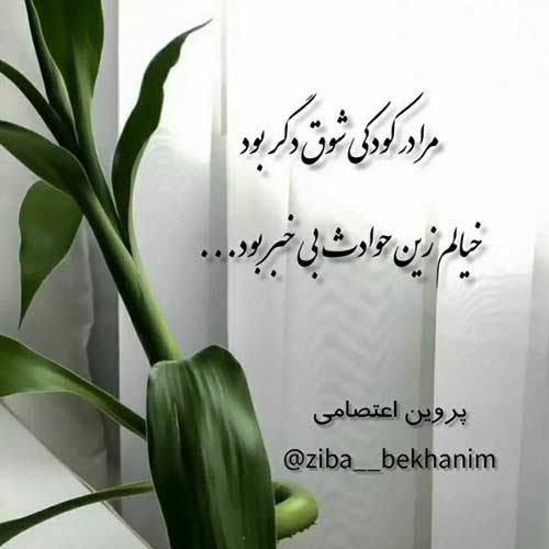 دانلود اهنگ شیرین شیرین هایده نسخه اصلی MP3