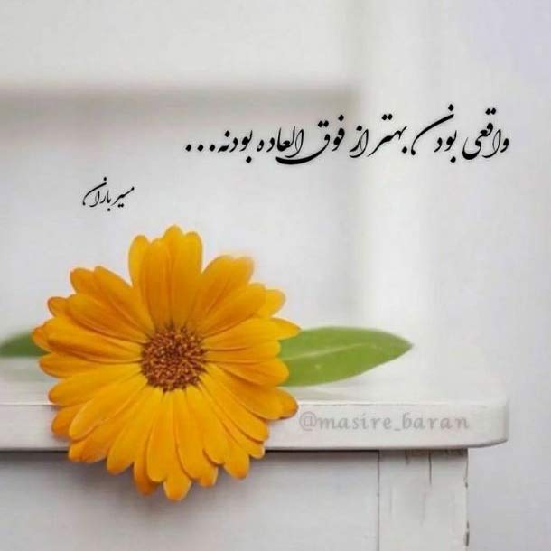دانلود اهنگ تو آستین خودم یه روز مارم منو زد ممزی MP3
