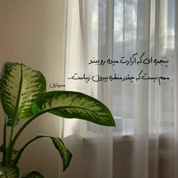 دانلود اهنگ پلنگه چشم قشنگه با صدای مرتضی MP3