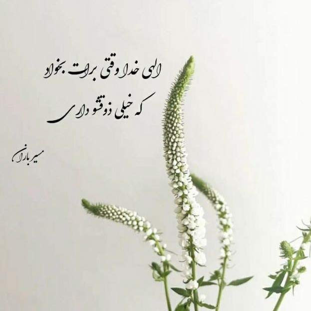 دانلود آهنگ عشق بندر با صدای سندی MP3