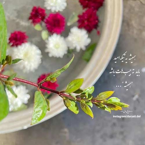 اهنگ حسین عامری به نام میخوام برم کوه شکار آهو