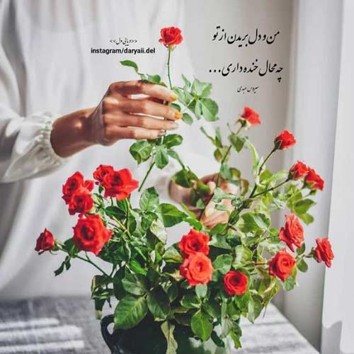 دانلود اهنگ دله دون دله MP3