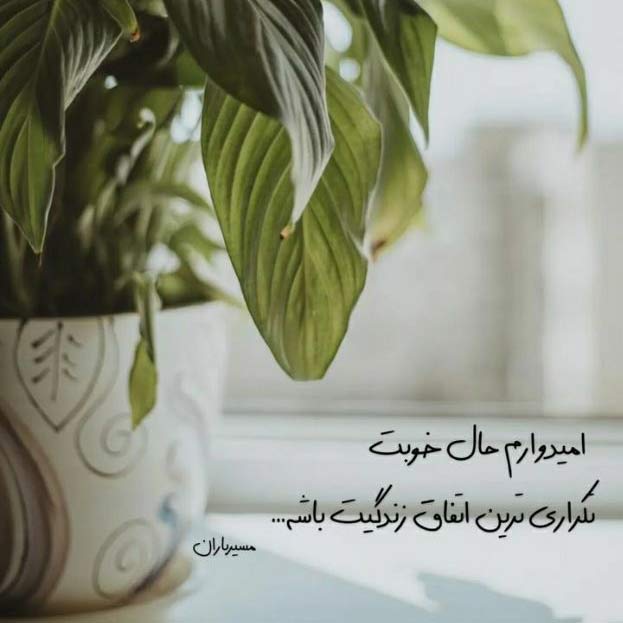 دانلود آهنگ بازم تابستون اومد آفتاب رو ایوون اومد MP3