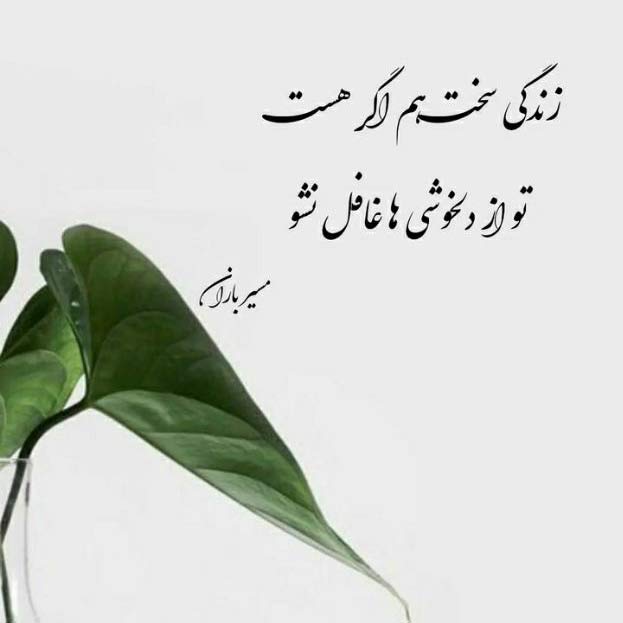 دانلود اهنگ دل من با صدای هلیوم MP3