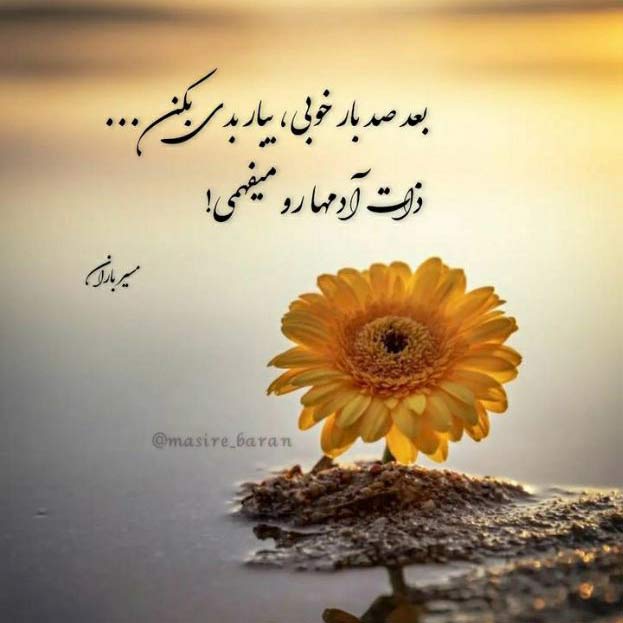 دانلود اهنگ دوست دختر من نازه توی دخترا ممتازه MP3