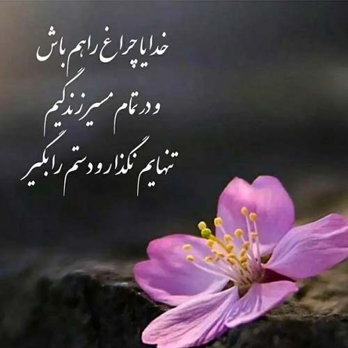 اهنگ دلتنگتم امشب بیا به خوابم با صدای محمد ملایی