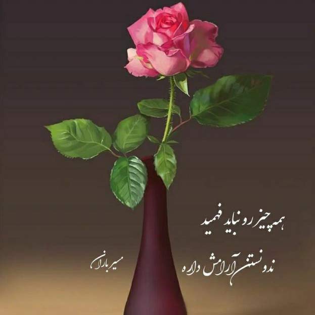 دانلود آهنگ جدید رضا بهرام به نام جانم MP3