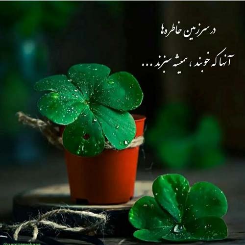 دانلود ریمیکس دوم شما هرجا مارو دیدید بزنید برای شما مبارک
