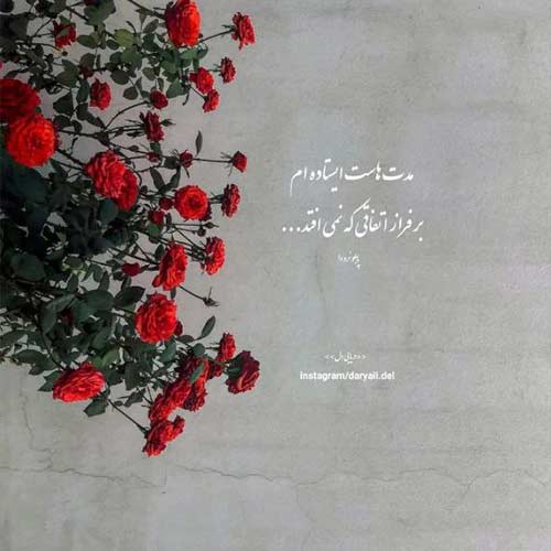 دانلود آهنگ ار نبینمش خرابم با صدای زن MP3